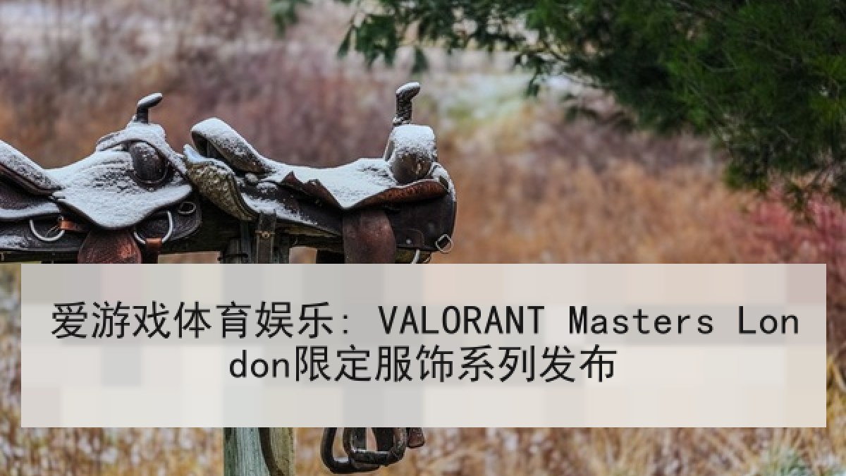 爱游戏体育娱乐: VALORANT Masters London限定服饰系列发布