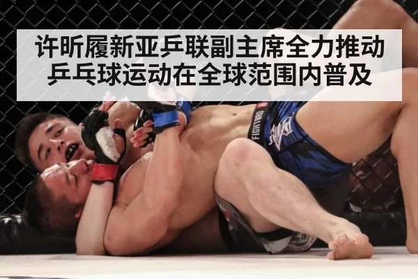 许昕履新亚乒联副主席全力推动乒乓球运动在全球范围内普及
