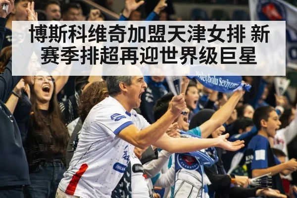 volleyball stadium crowd